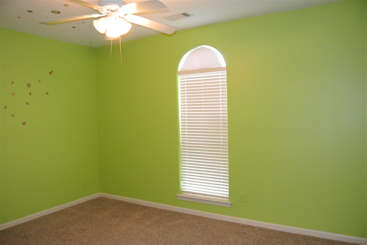 6688 Beagle Ln, Arlington, TN 38002 photo 10