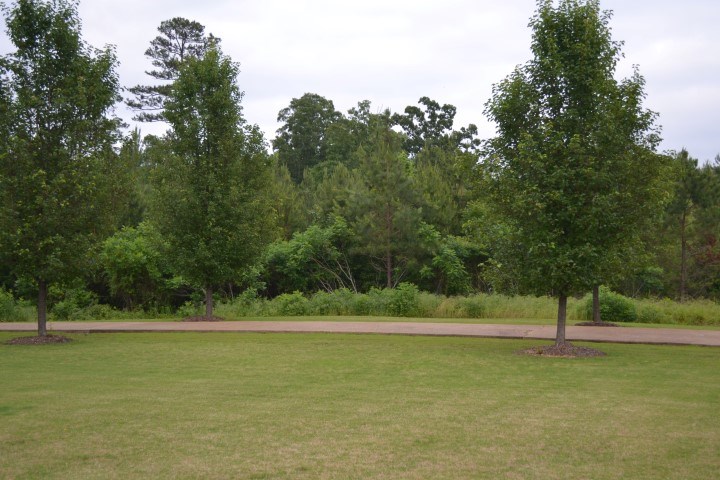 472 Wayne Elam Rd, Ramer, TN 38367 photo 22