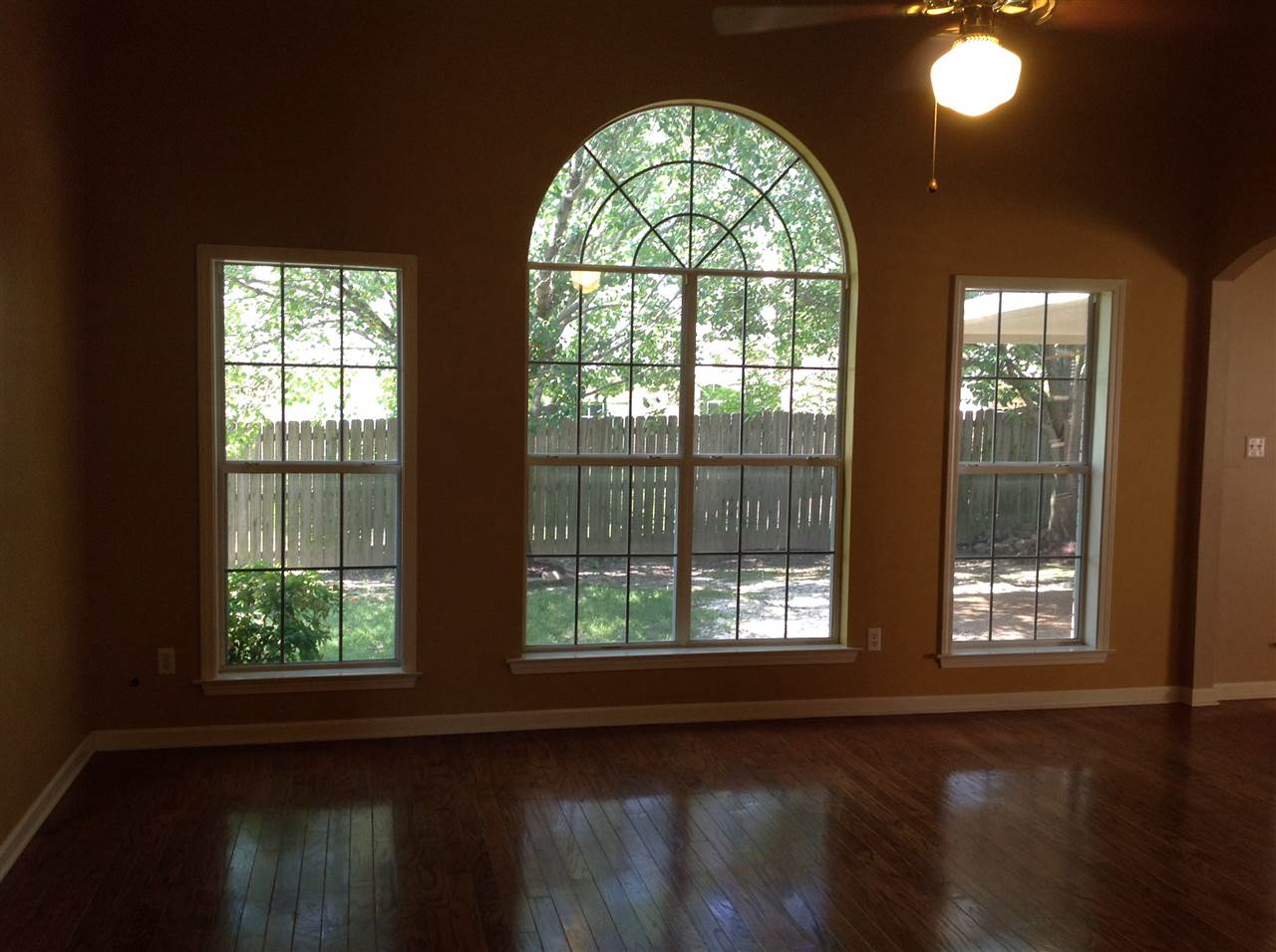 289 John Cove Cv, Collierville, TN 38017 photo 8