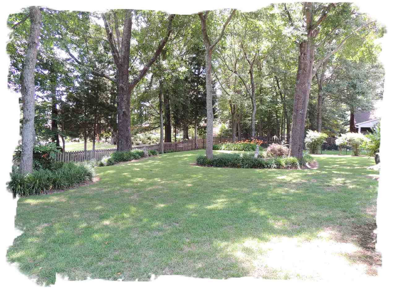 802 Timber Ridge Dr, Collierville, TN 38017 photo 5