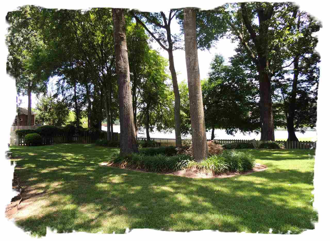 802 Timber Ridge Dr, Collierville, TN 38017 photo 6