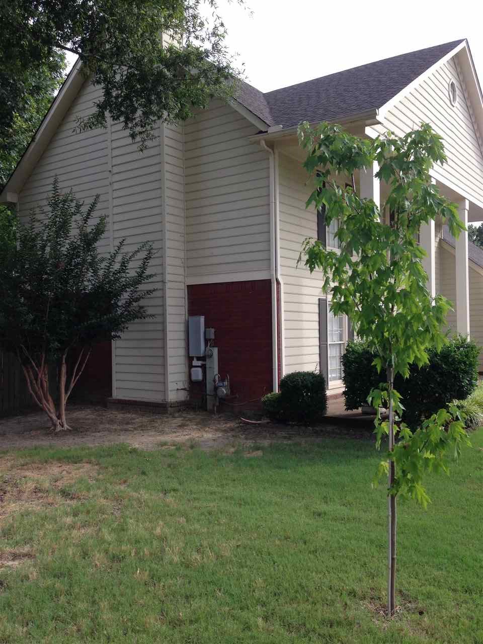 293 Cedar Post Cv, Collierville, TN 38017 photo 4