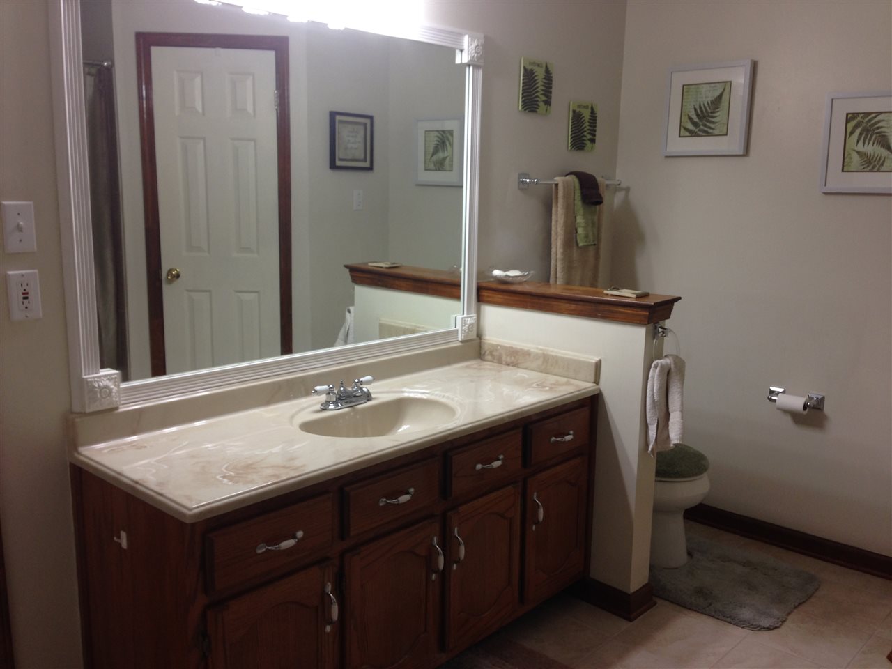 3466 Post Elm Ln, Bartlett, TN 38133 photo 16