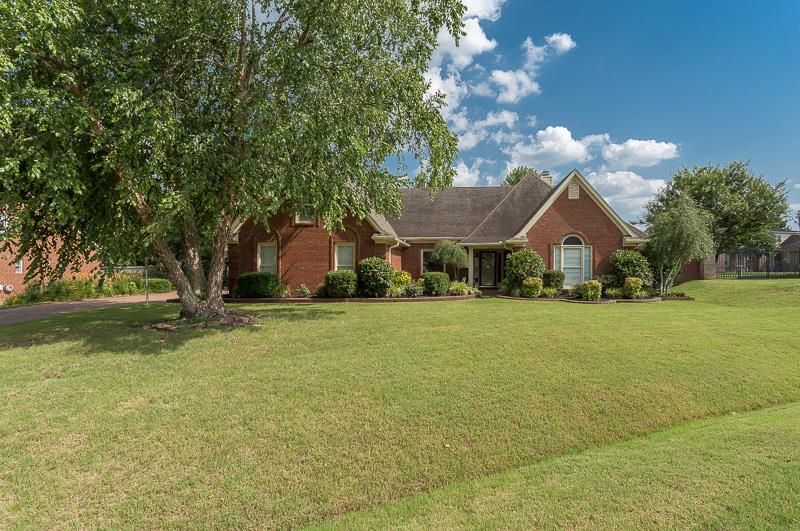 8951 Daisy Ellen Cv, Bartlett, TN 38133 photo 1