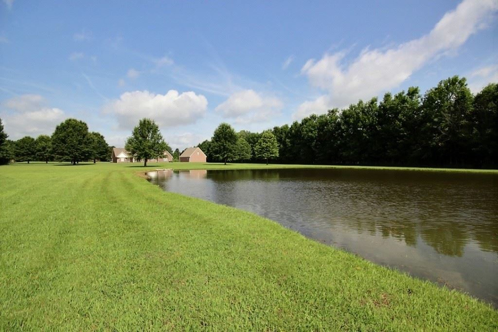 4510 Planters Trace Ln, Collierville, TN 38017 photo 22