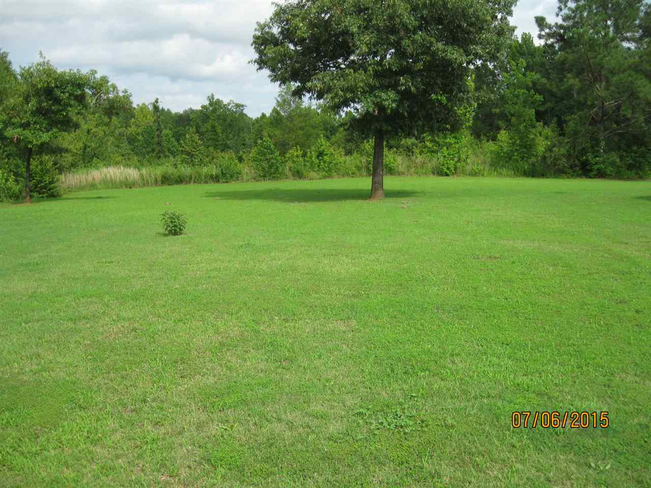 280 Ode Moore Rd, Michie, TN 38357 photo 15