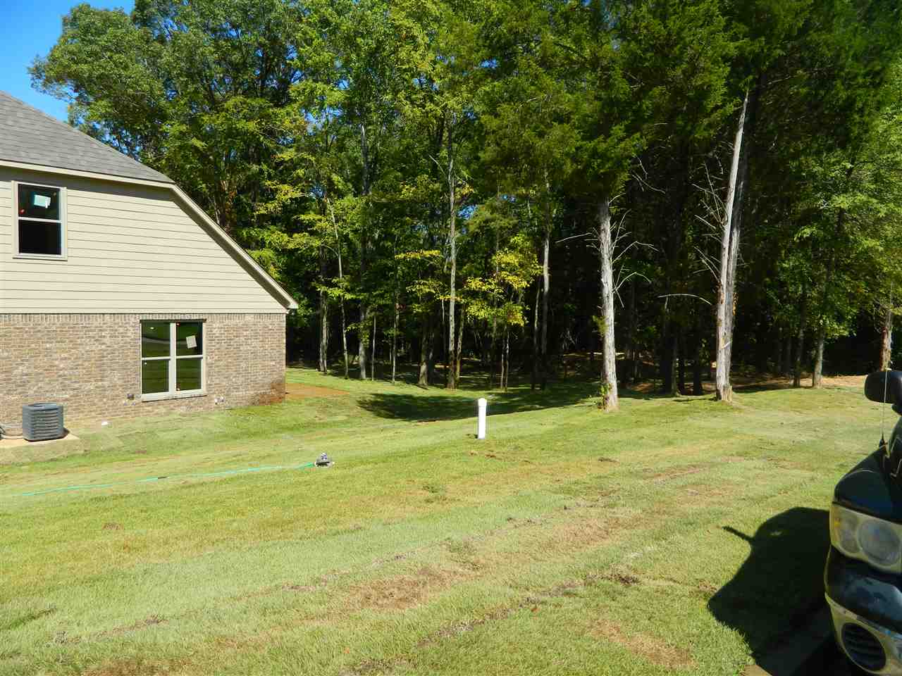 9170 S Stonedale Dr, Cordova, TN 38018 photo 16