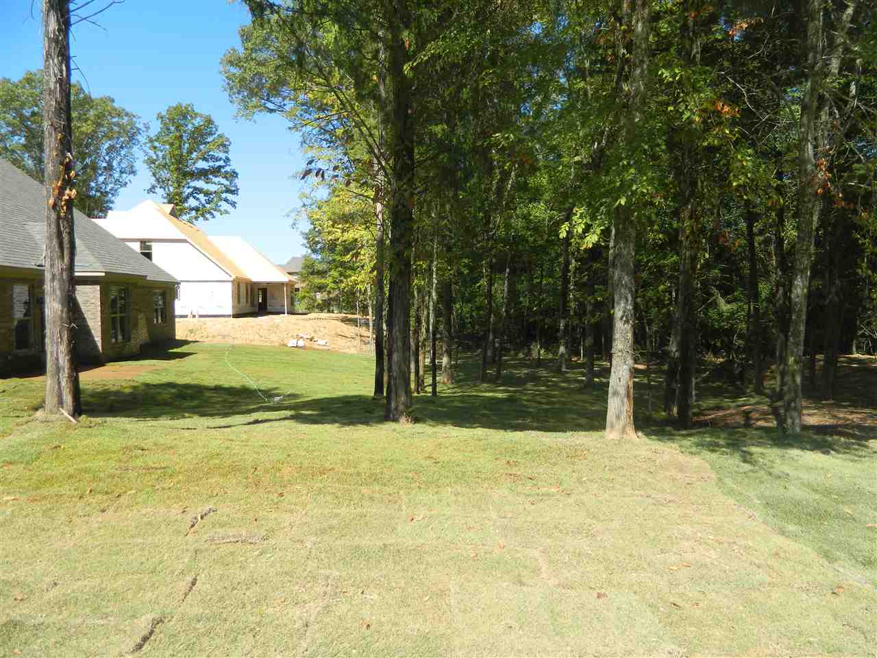 9170 S Stonedale Dr, Cordova, TN 38018 photo 17