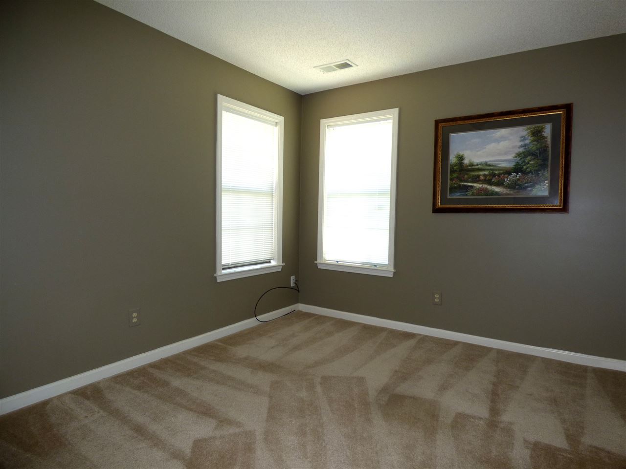 7431 Overcreek Ln, Bartlett, TN 38133 photo 21
