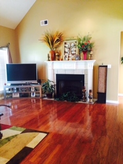 3458 Wolf Shadow Ln, Bartlett, TN 38133 photo 4