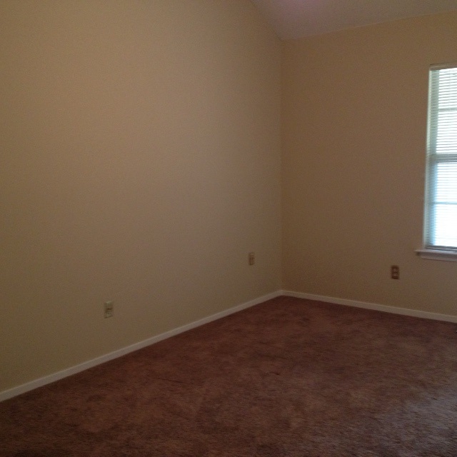 1580 Beaver Trail Dr, Cordova, TN 38016 photo 4