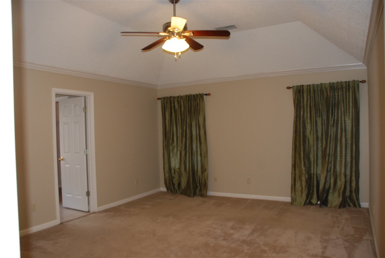 310 Red Wolf Dr, Collierville, TN 38017 photo 15
