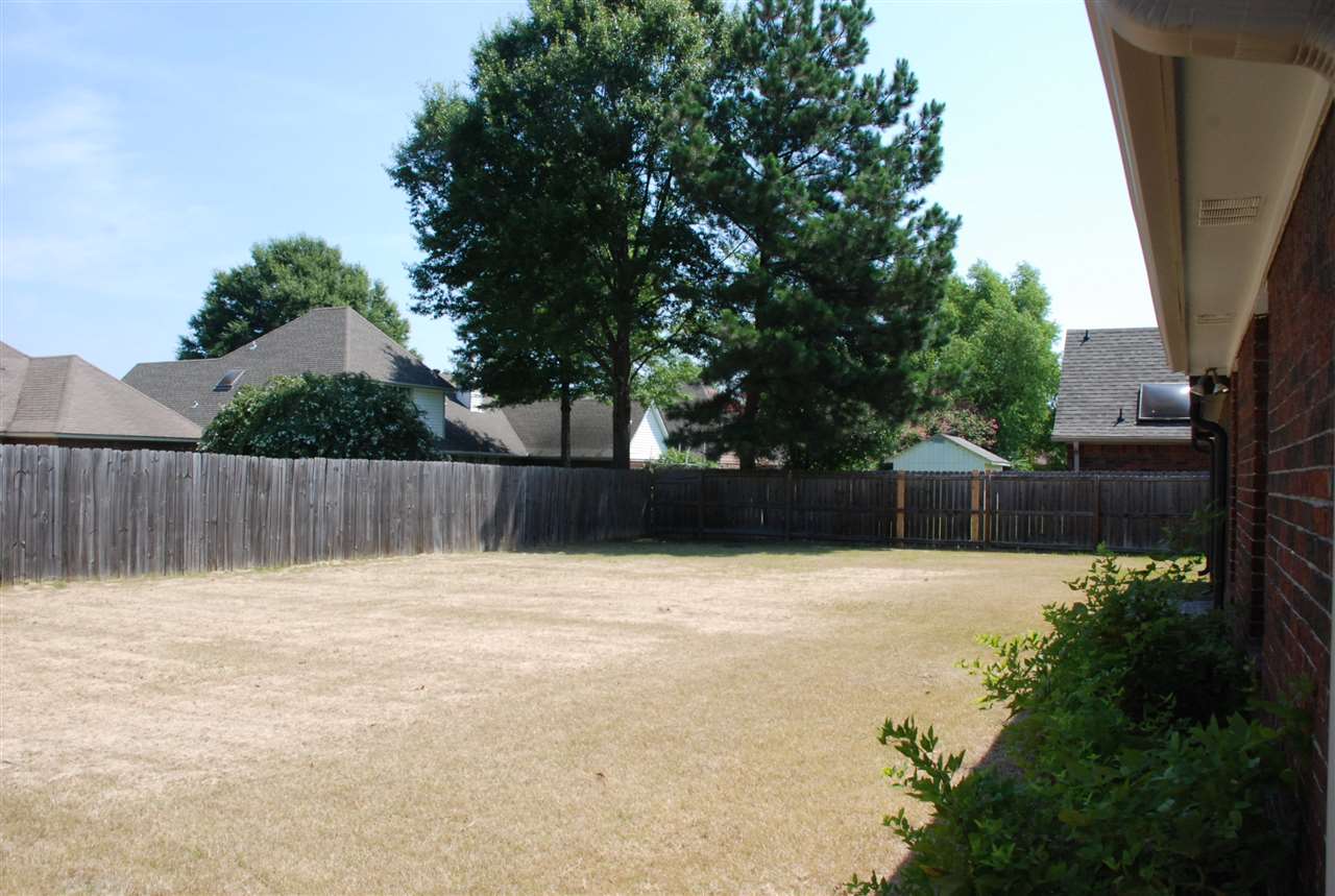 310 Red Wolf Dr, Collierville, TN 38017 photo 21