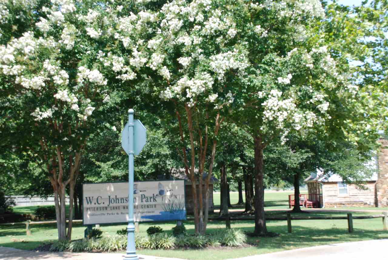 310 Red Wolf Dr, Collierville, TN 38017 photo 25