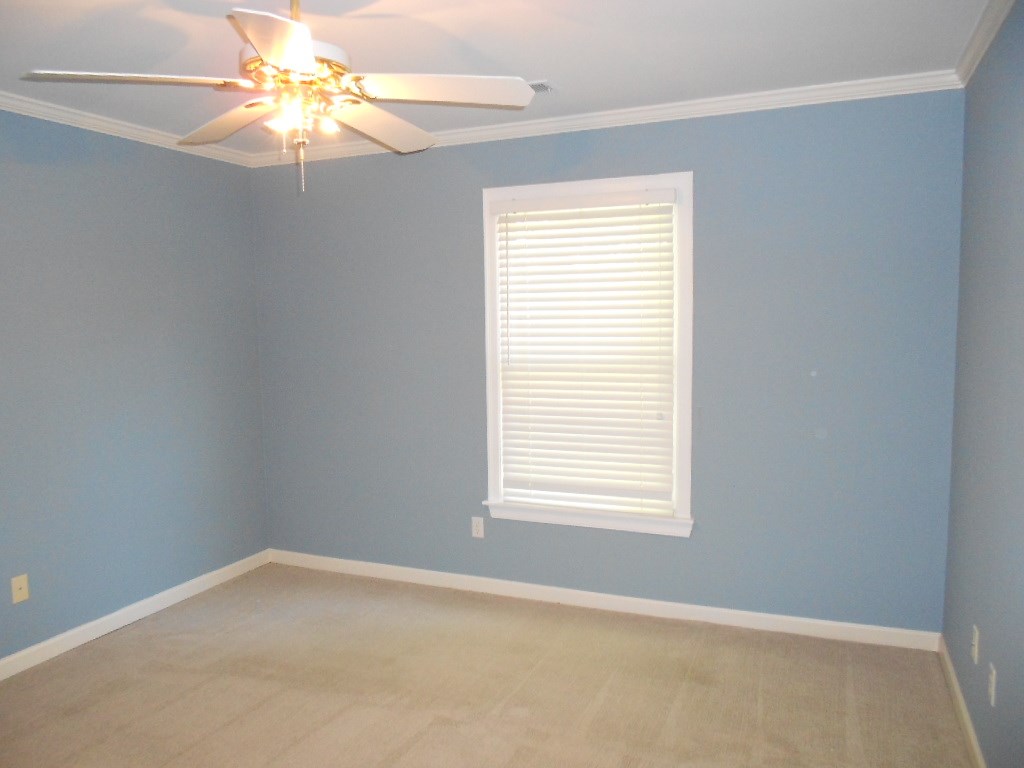 271 Walnut Leaf Dr, Cordova, TN 38018 photo 14
