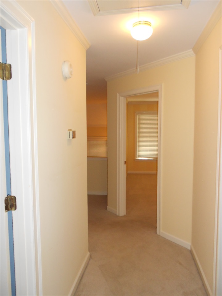 271 Walnut Leaf Dr, Cordova, TN 38018 photo 18