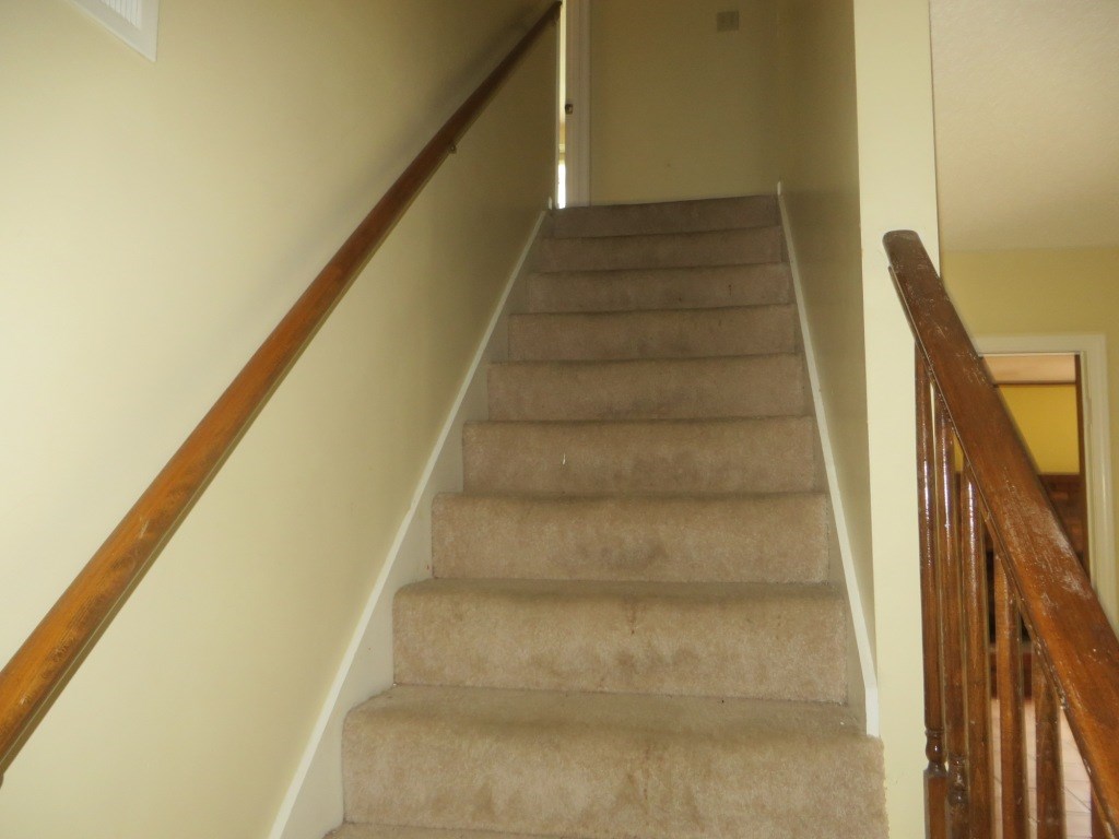 3711 Whitebridge Cv, Bartlett, TN 38135 photo 15