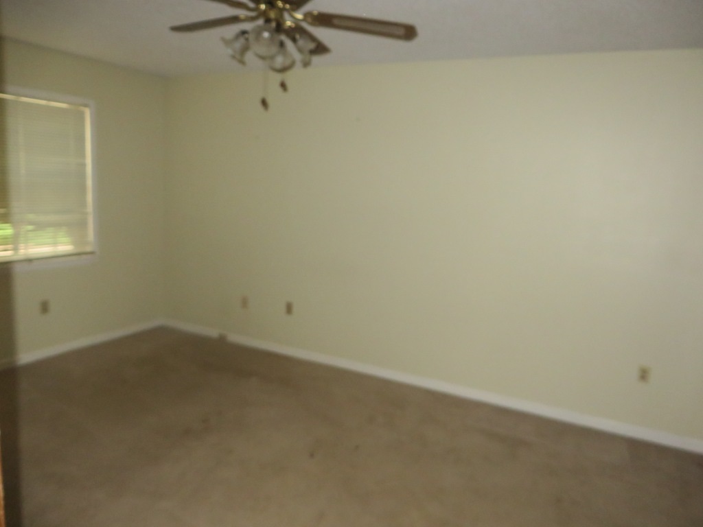 3711 Whitebridge Cv, Bartlett, TN 38135 photo 9