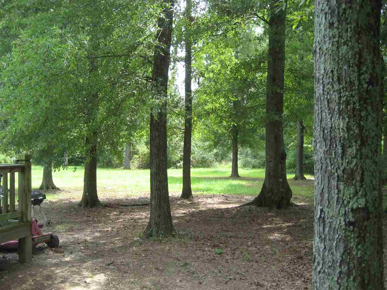 340 Austin St, Savannah, TN 38372 photo 20