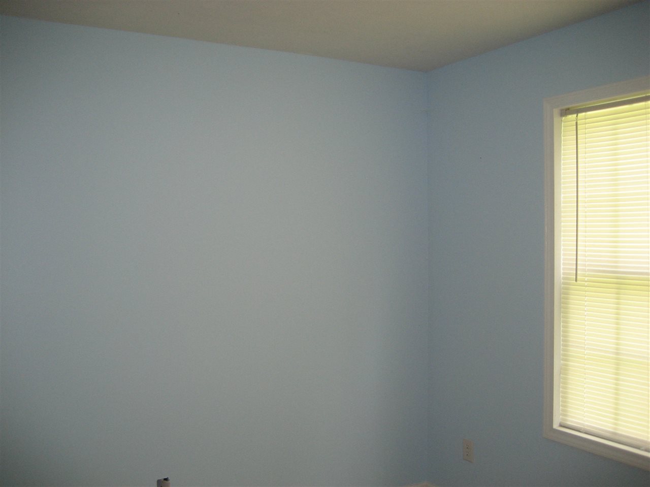 340 Austin St, Savannah, TN 38372 photo 9
