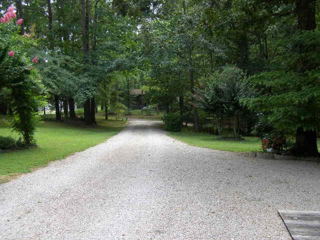 245 Cardinal Rd, Counce, TN 38326 photo 13