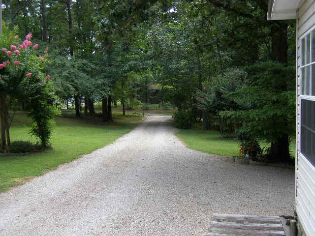 245 Cardinal Rd, Counce, TN 38326 photo 21
