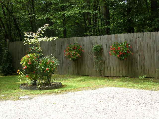 245 Cardinal Rd, Counce, TN 38326 photo 20