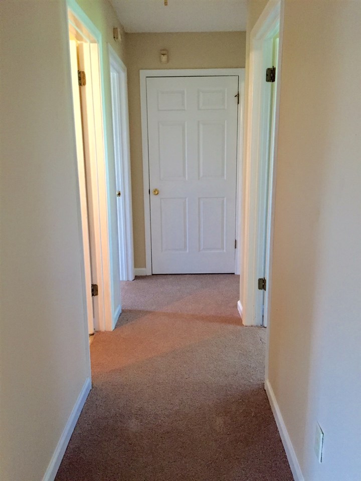 222 Bluebird Rd, Covington, TN 38019 photo 10