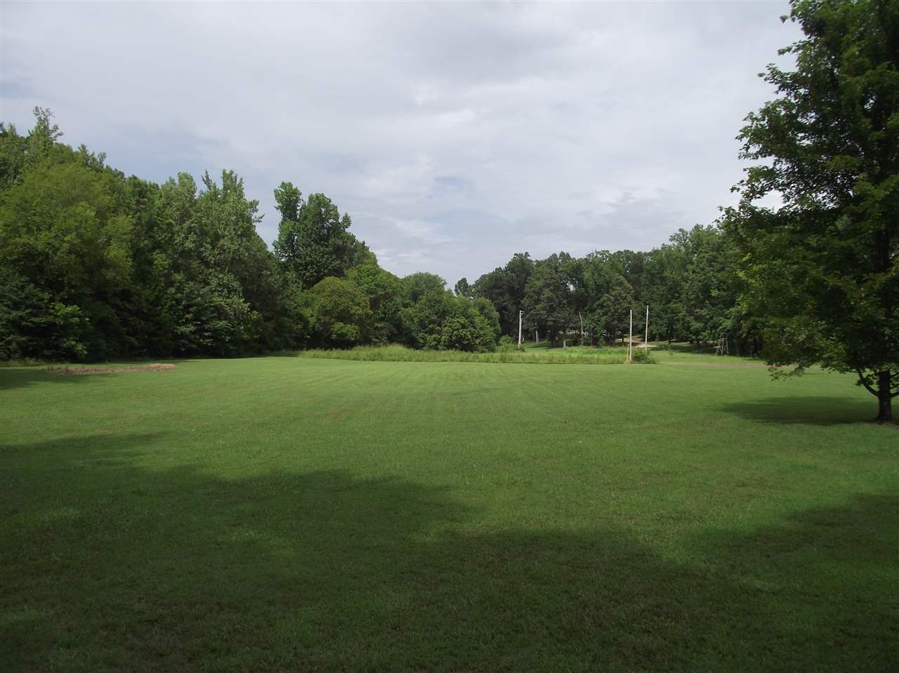 175 Tree Canopy Cv, Savannah, TN 38372 photo 21