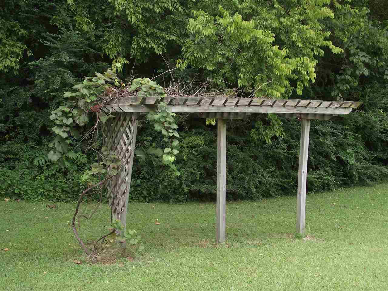 175 Tree Canopy Cv, Savannah, TN 38372 photo 18