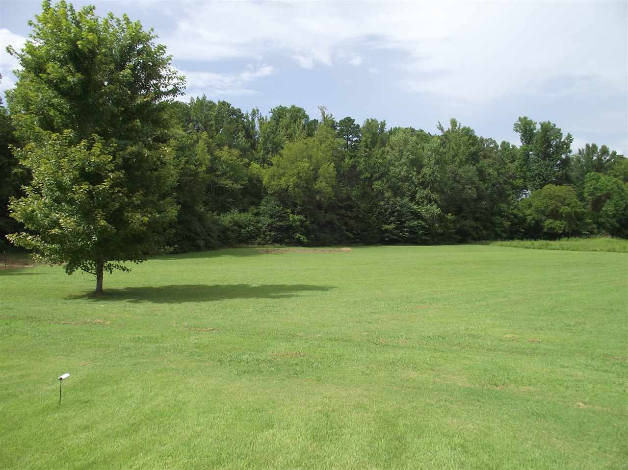 175 Tree Canopy Cv, Savannah, TN 38372 photo 20