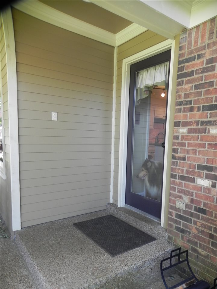 1042 Moorefield Rd, Collierville, TN 38017 photo 18