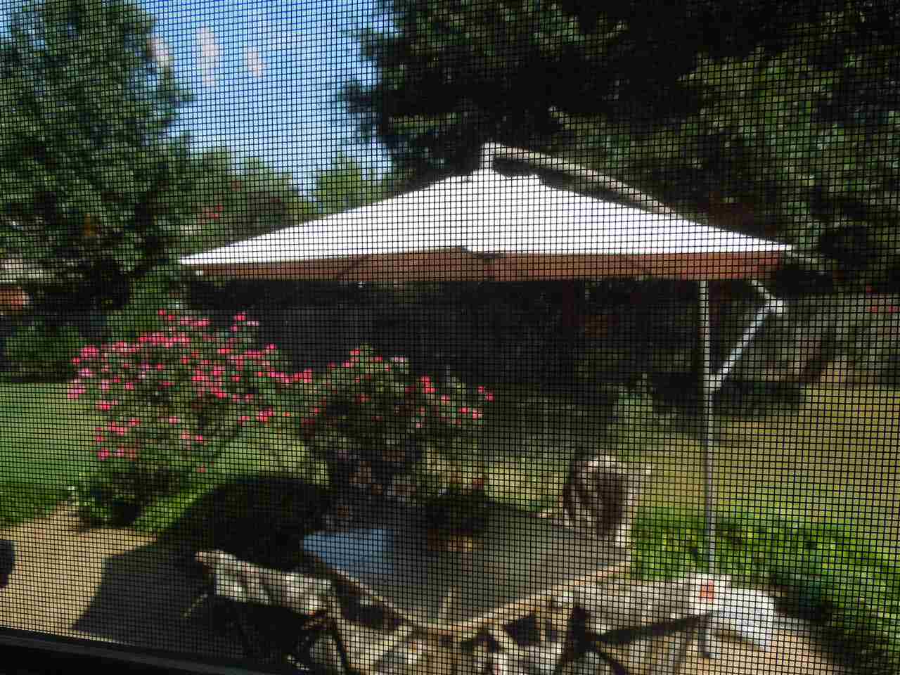 9360 Grove Rd, Cordova, TN 38016 photo 22