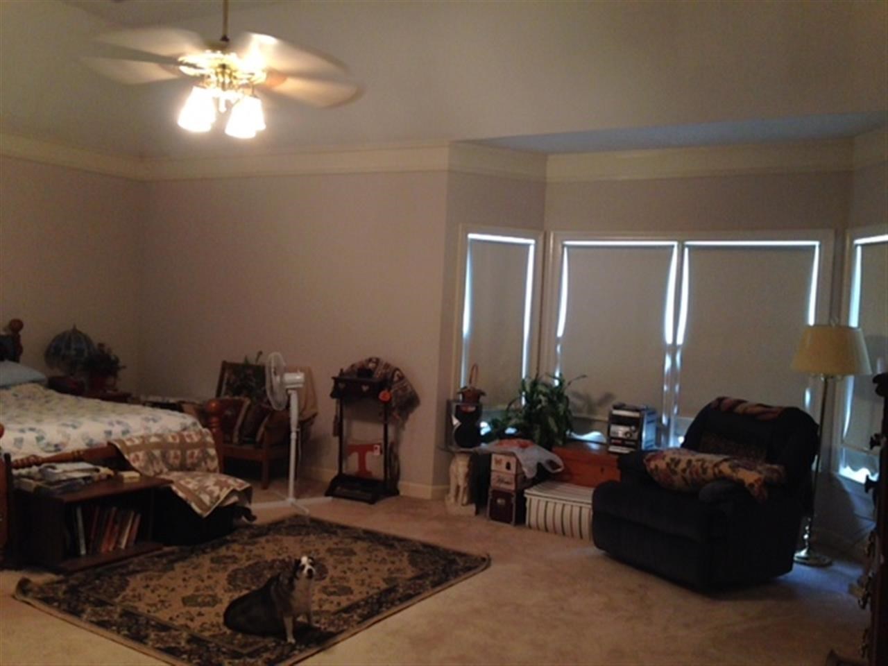 4386 Garner Pl, Bartlett, TN 38135 photo 16