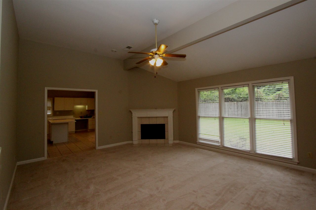6991 Hedgewood Cv, Bartlett, TN 38135 photo 12