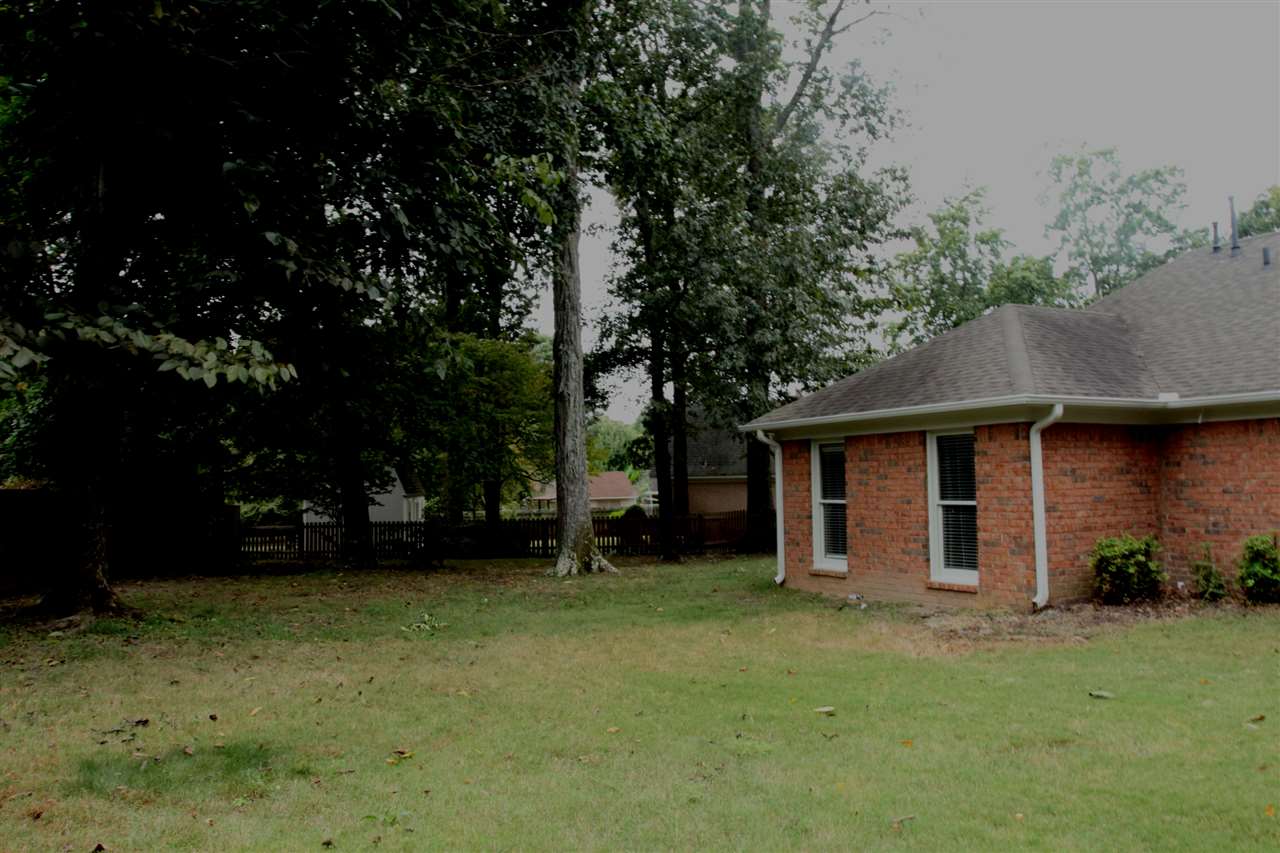 6991 Hedgewood Cv, Bartlett, TN 38135 photo 6