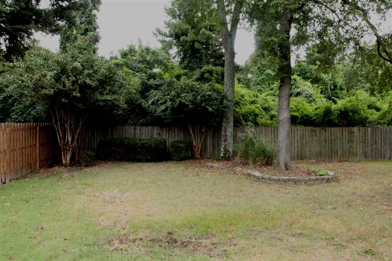 6991 Hedgewood Cv, Bartlett, TN 38135 photo 5