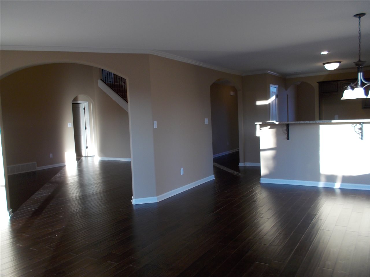 4867 Avi Dr, Arlington, TN 38002 photo 19