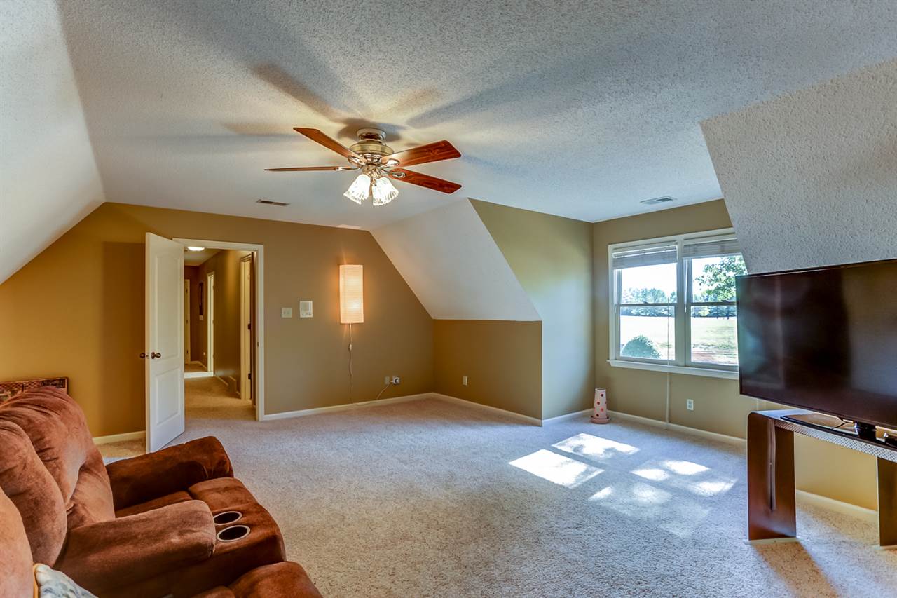 519 Warwick Willow Ln, Collierville, TN 38017 photo 22