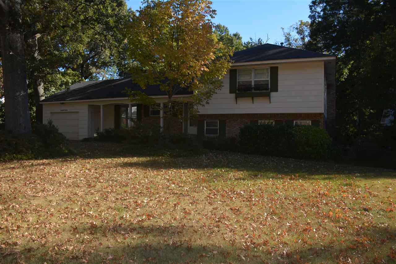 4841 Rolling Meadows Dr, Memphis, TN 38128 photo 3
