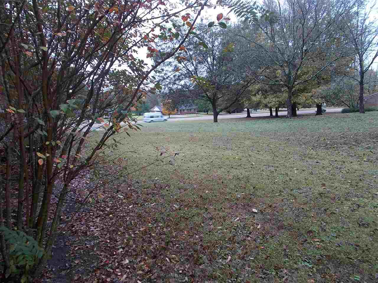 976 E Poplar Ave, Selmer, TN 38375 photo 4