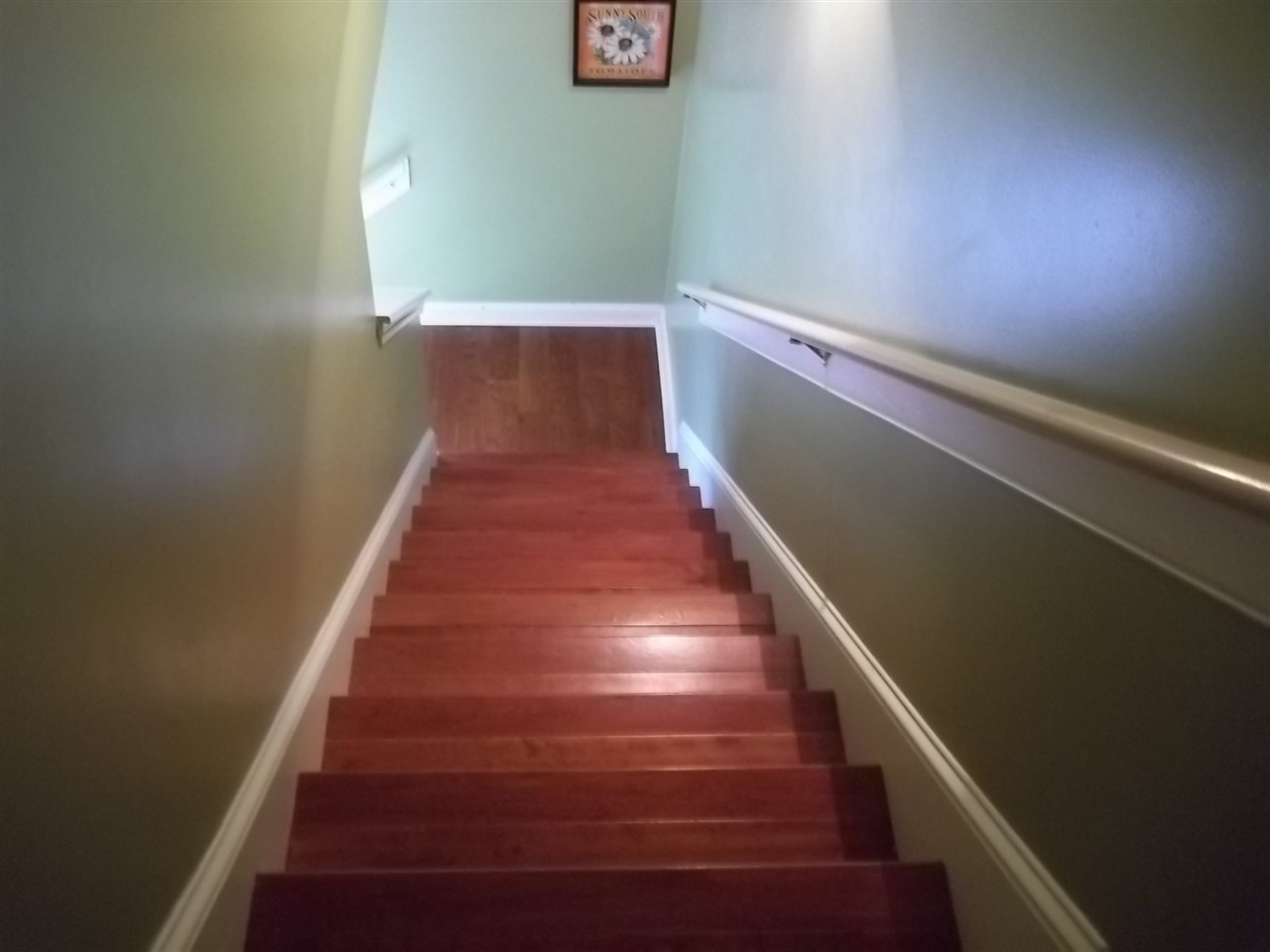 7975 Bristol Woods Cv, Arlington, TN 38002 photo 15