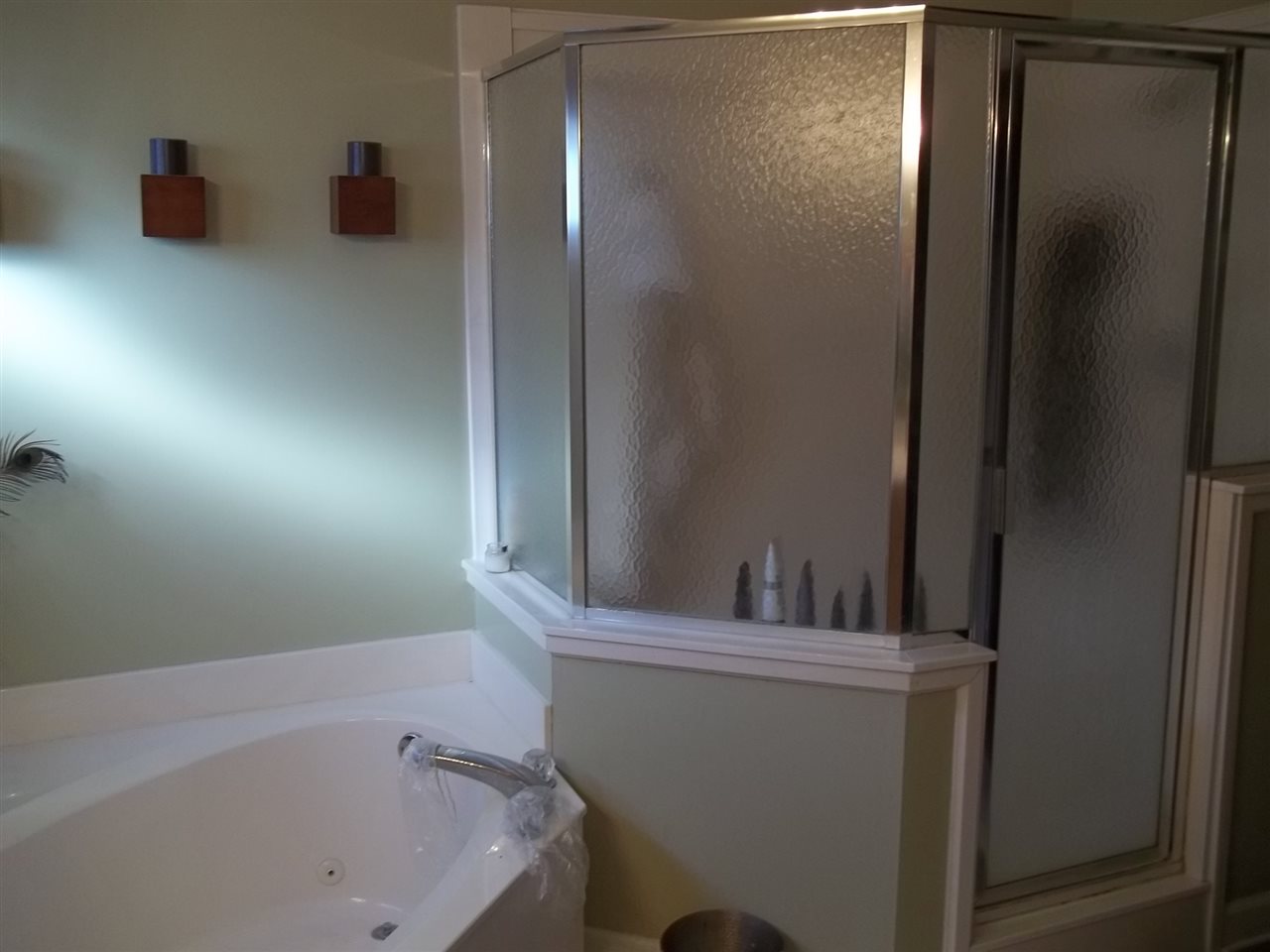 7975 Bristol Woods Cv, Arlington, TN 38002 photo 12