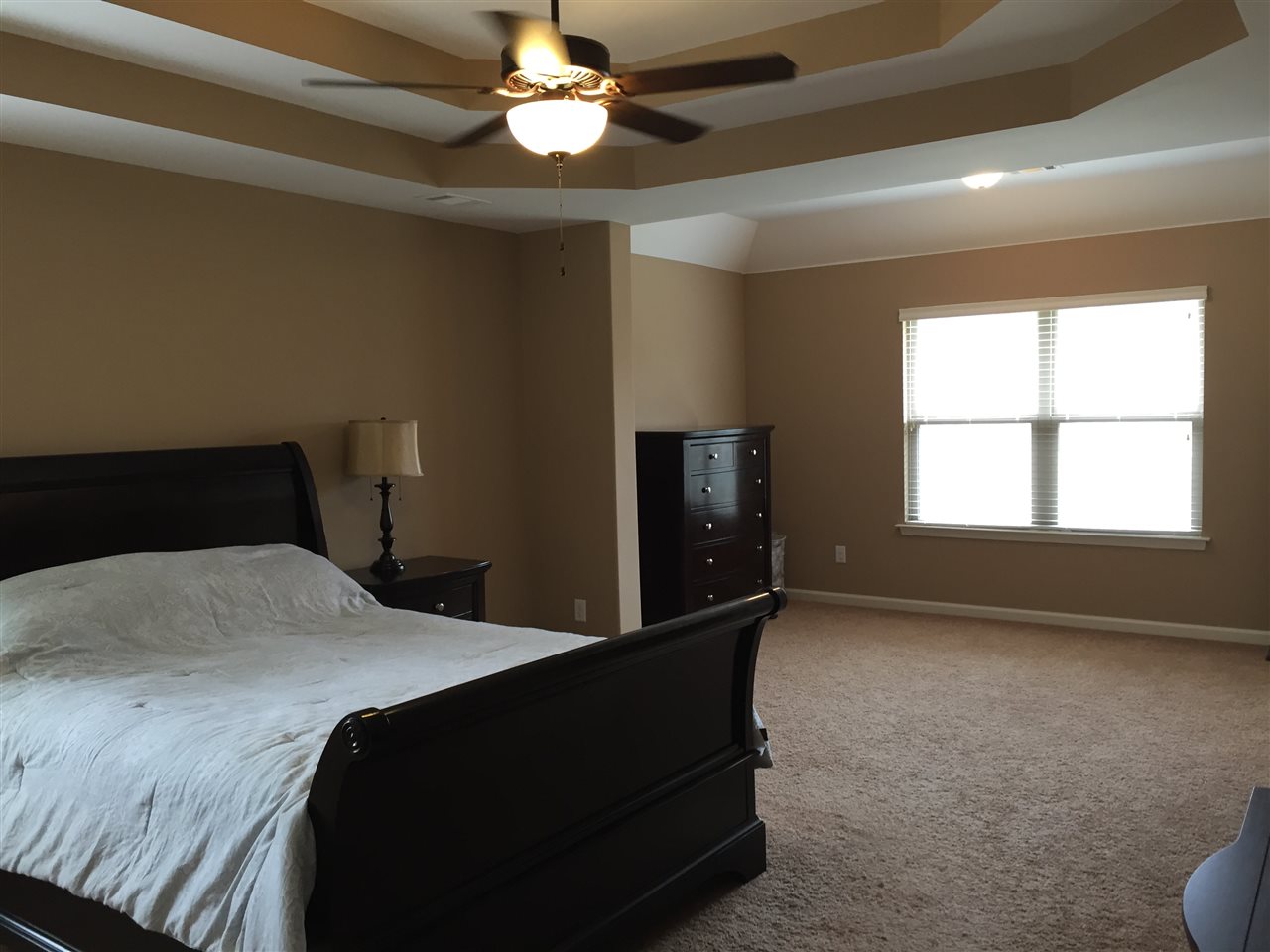 8808 Mt Hill Dr, Bartlett, TN 38002 photo 10