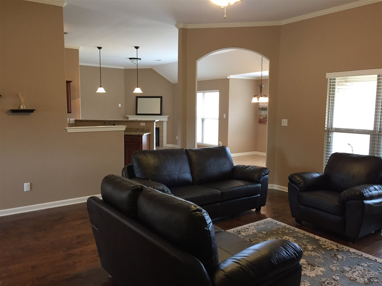 8808 Mt Hill Dr, Bartlett, TN 38002 photo 3