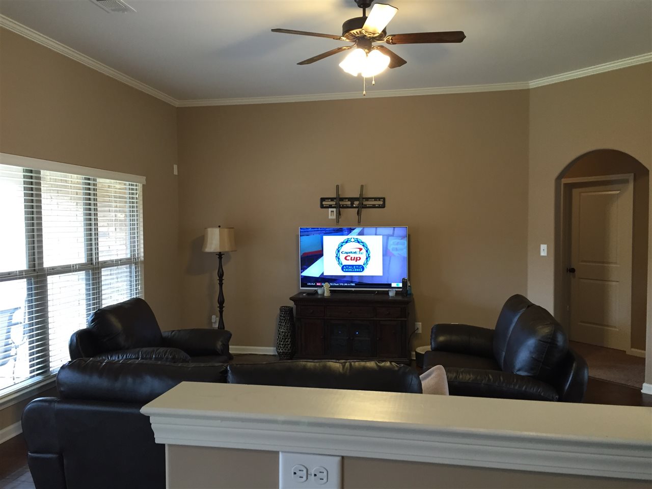 8808 Mt Hill Dr, Bartlett, TN 38002 photo 22
