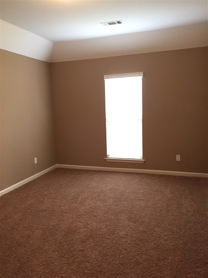 8808 Mt Hill Dr, Bartlett, TN 38002 photo 14
