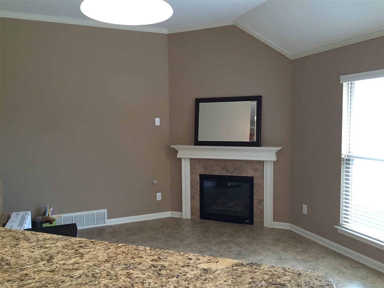 8808 Mt Hill Dr, Bartlett, TN 38002 photo 19