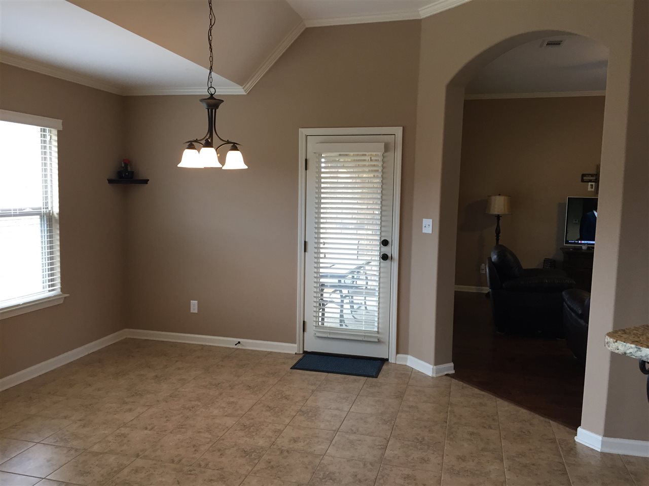 8808 Mt Hill Dr, Bartlett, TN 38002 photo 20