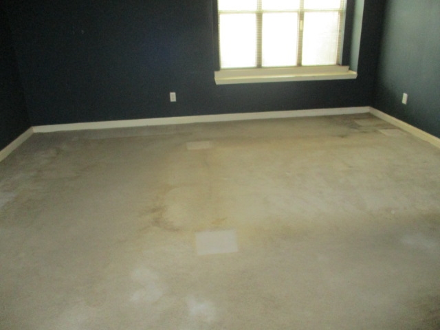 3653 Stonetrace Cir, Memphis, TN 38135 photo 7